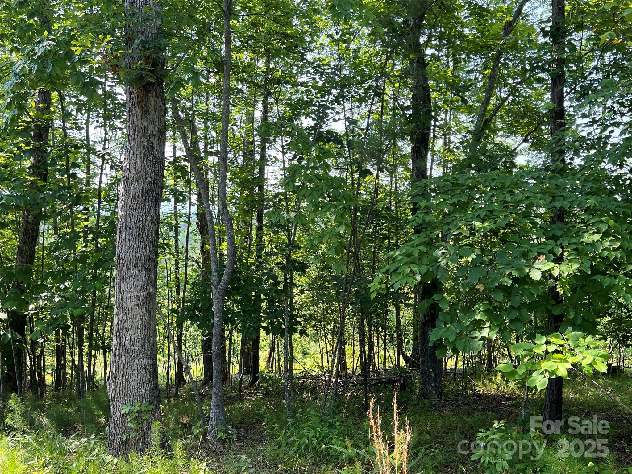 1015 Cross Ridge Drive Property Photo 9