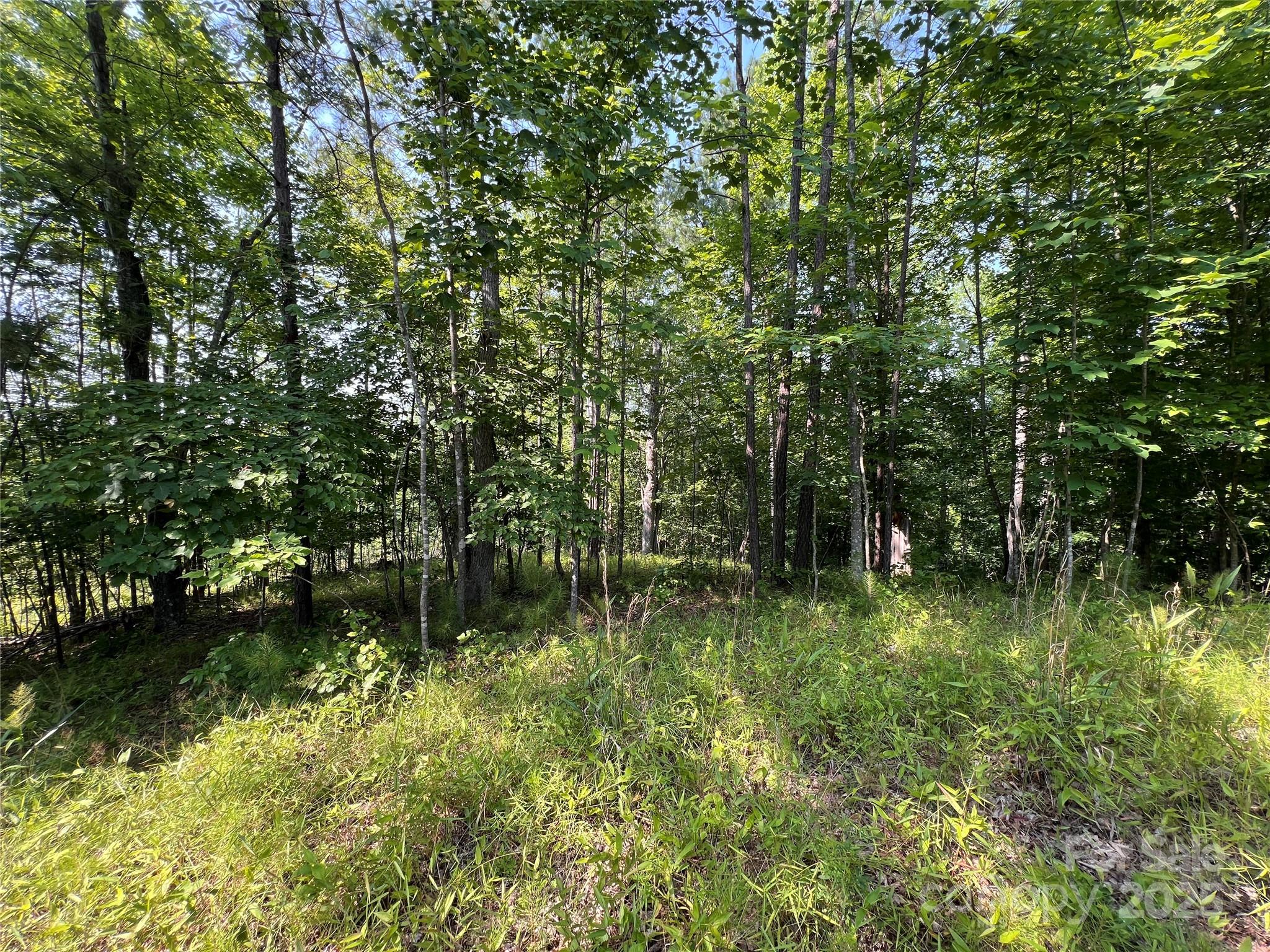 1015 Cross Ridge Drive Property Photo 10