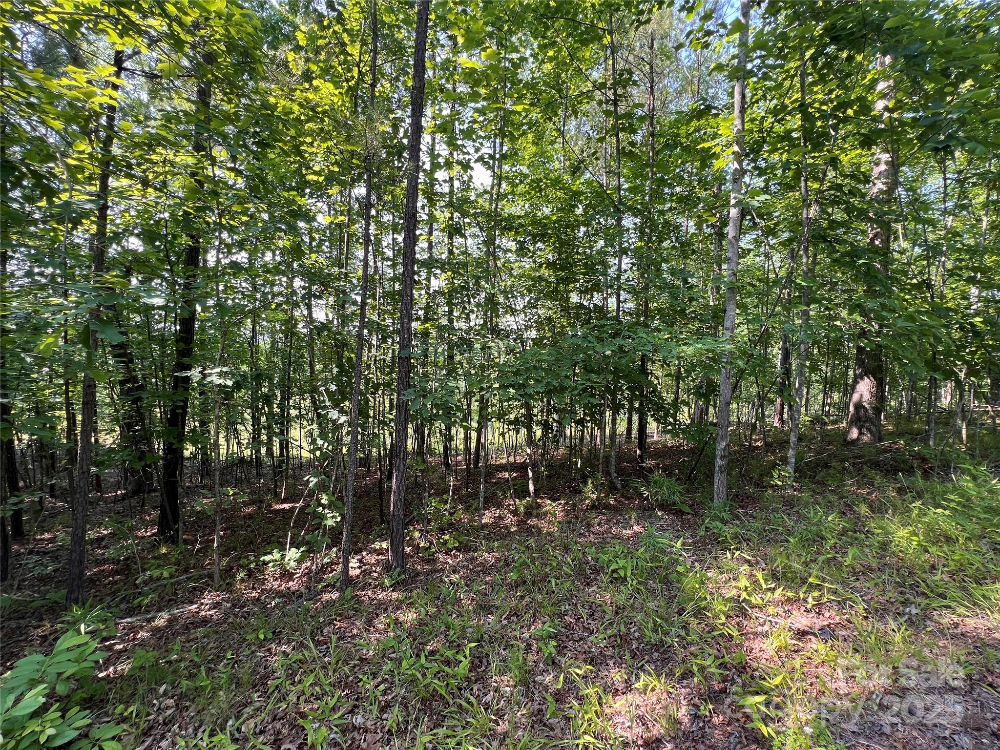 1015 Cross Ridge Drive Property Photo 12