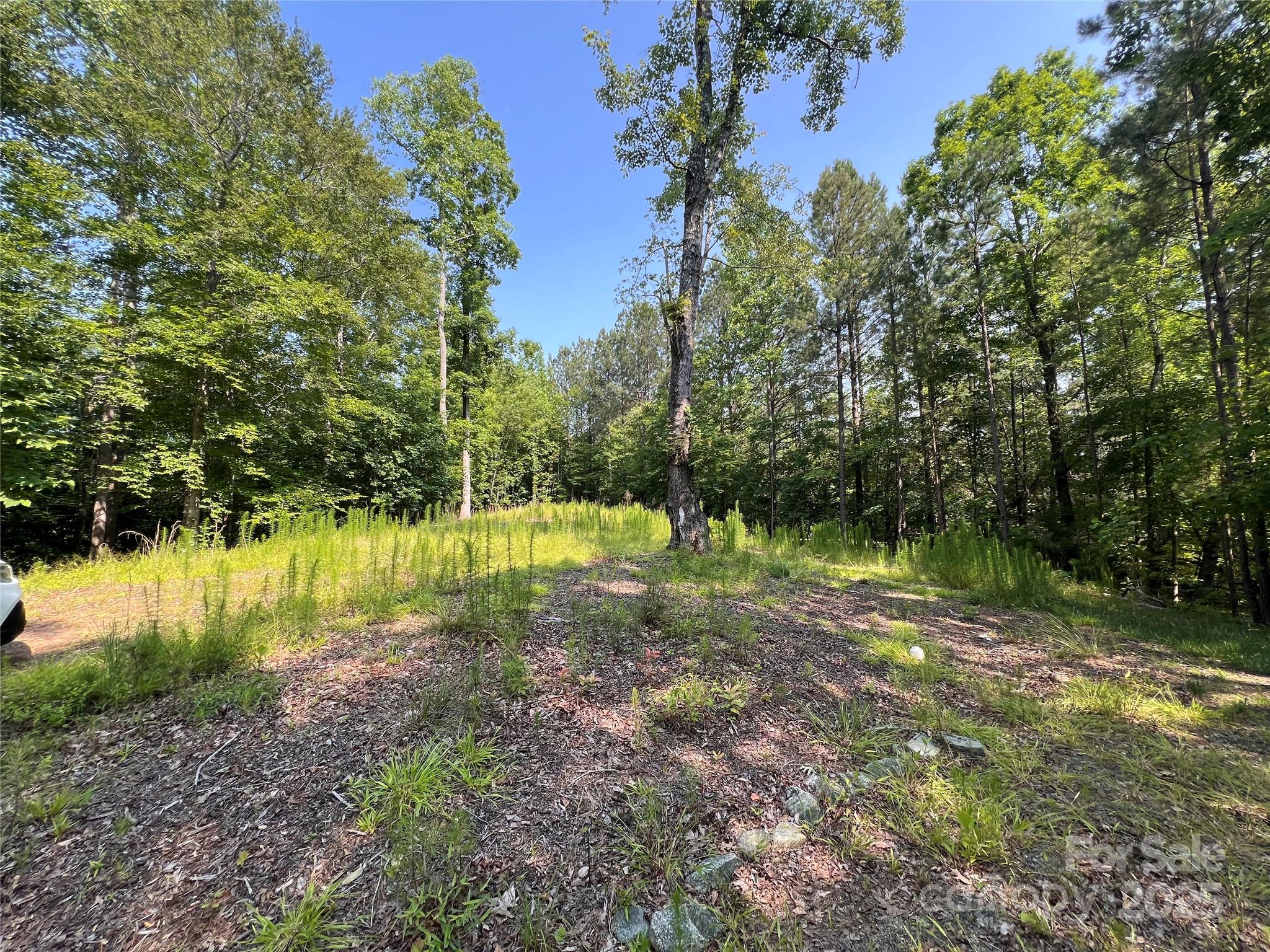 1015 Cross Ridge Drive Property Photo 13