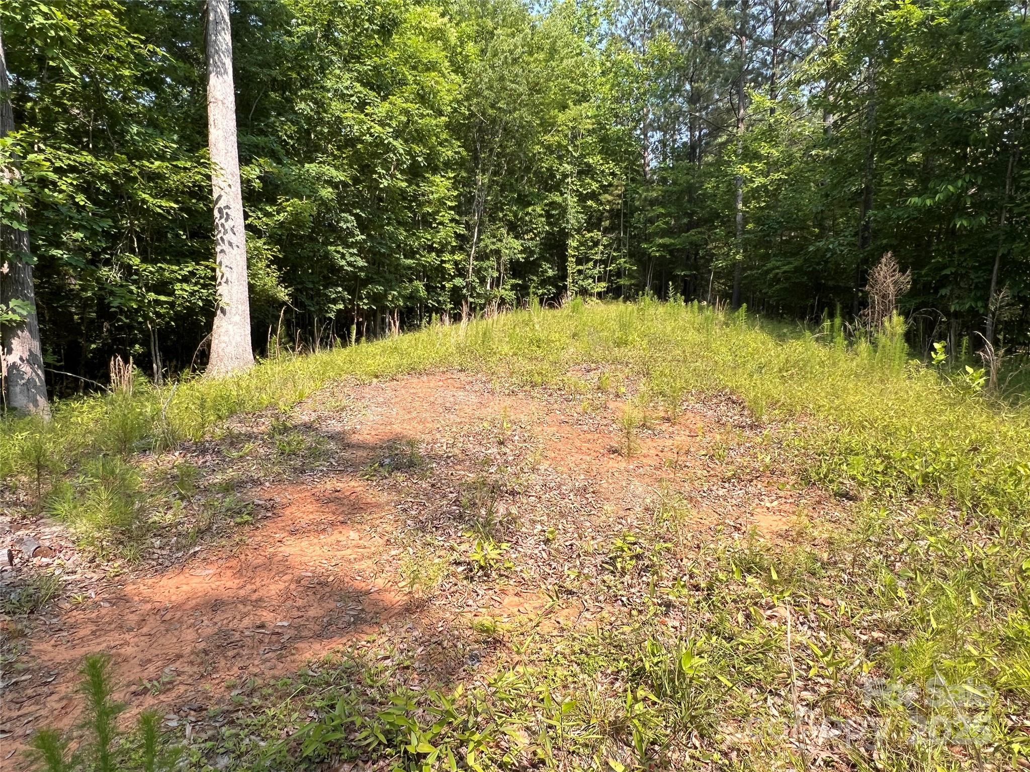 1015 Cross Ridge Drive Property Photo 14