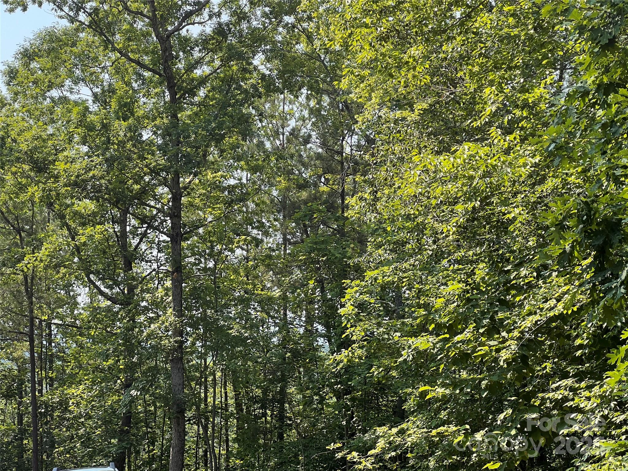 1015 Cross Ridge Drive Property Photo 15