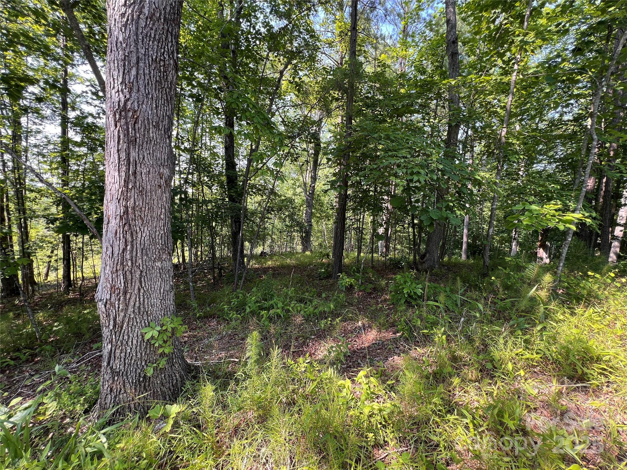 1015 Cross Ridge Drive Property Photo 16