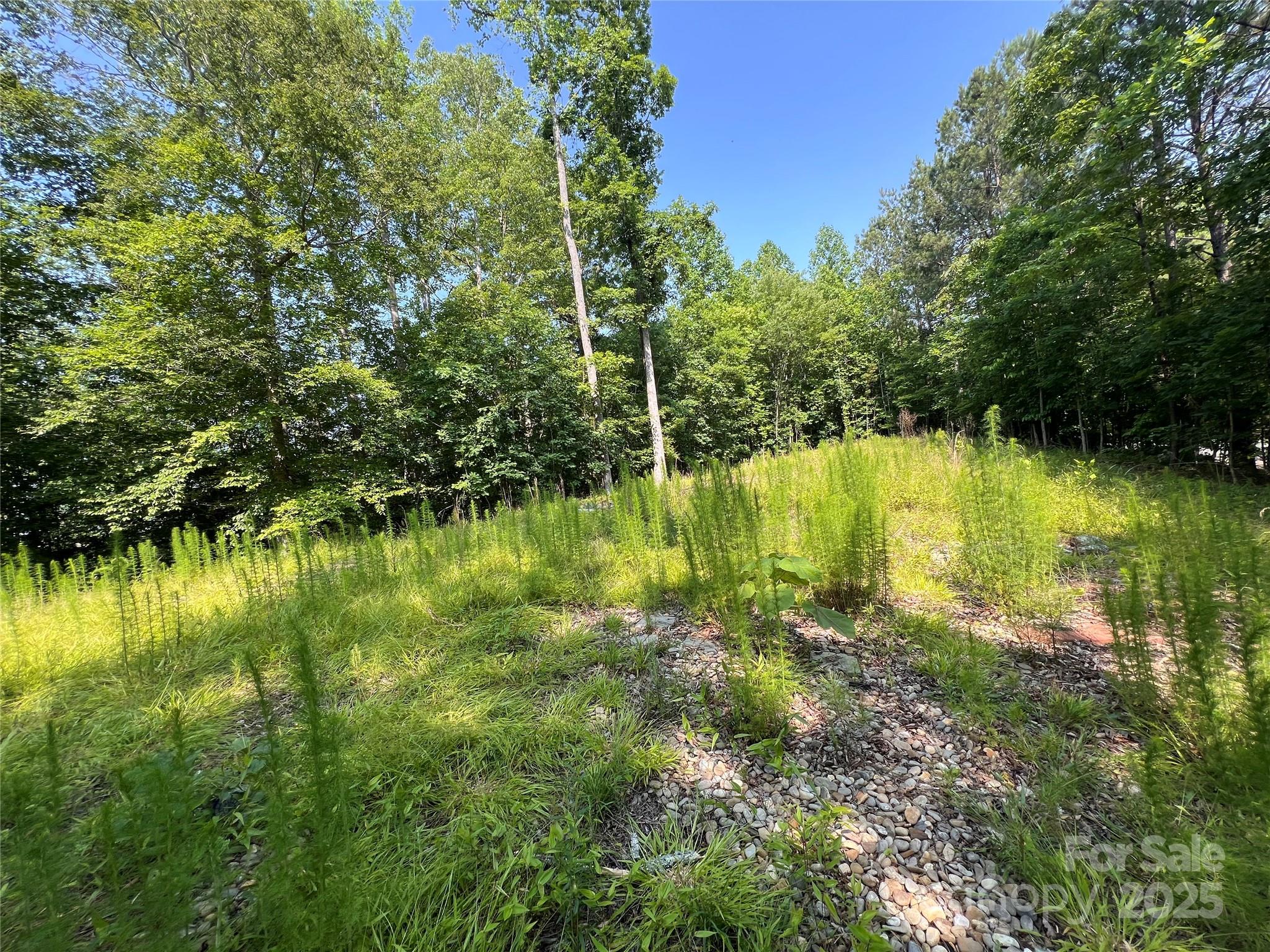 1015 Cross Ridge Drive Property Photo 17