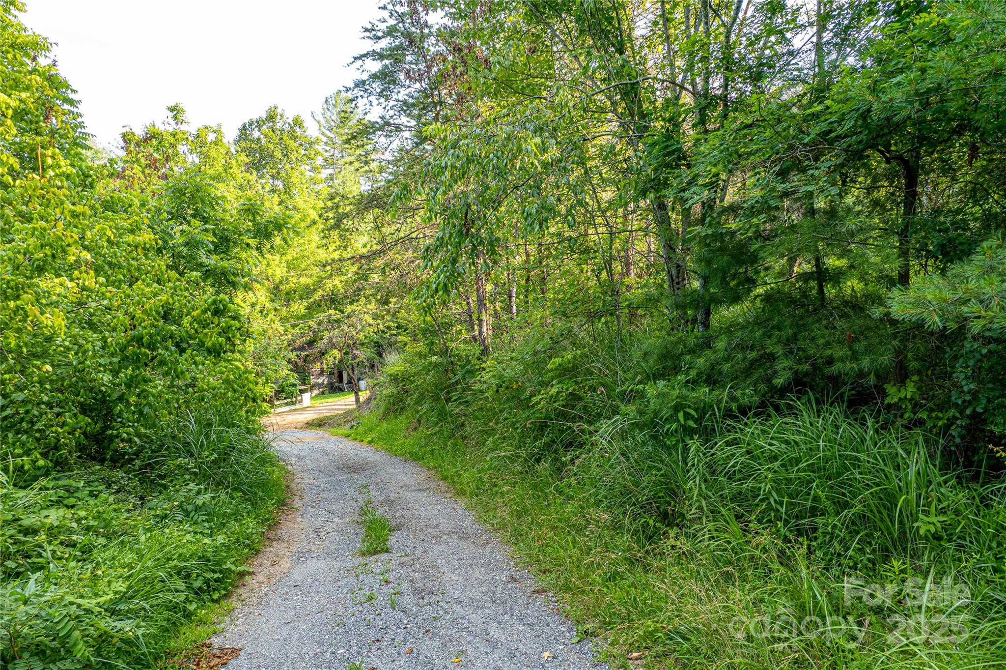62 Ebb Burnette Road Property Photo 1