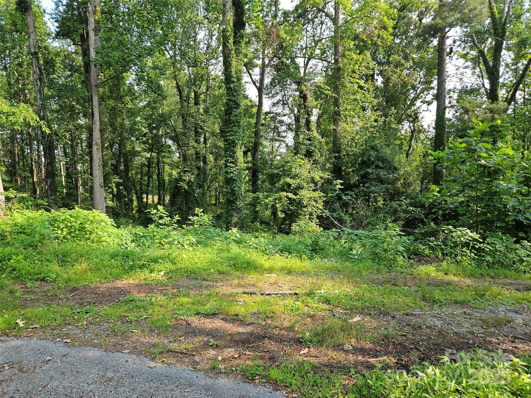 3826 Asheville Highway Property Photo 1