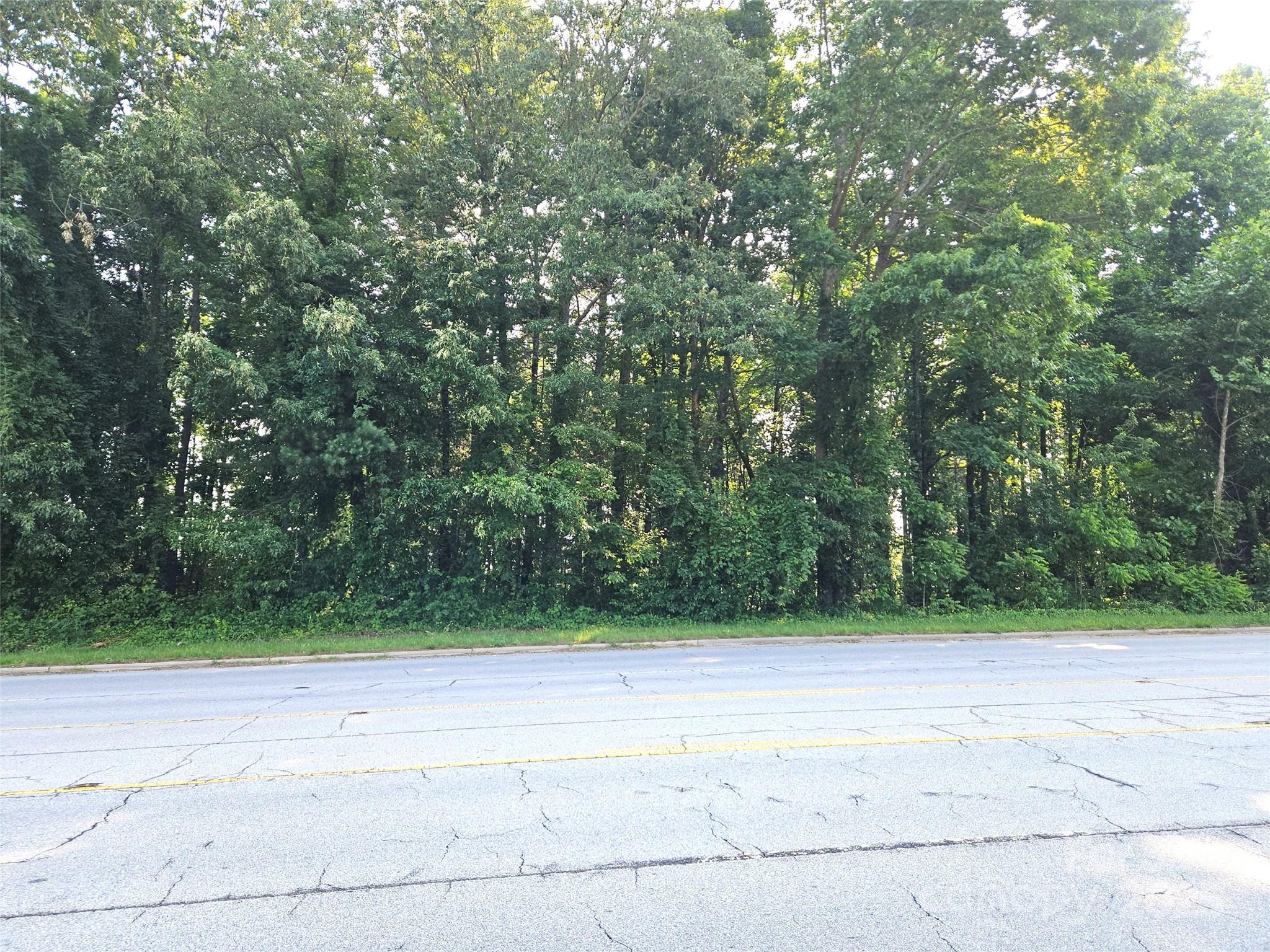 3826 Asheville Highway Property Photo 2