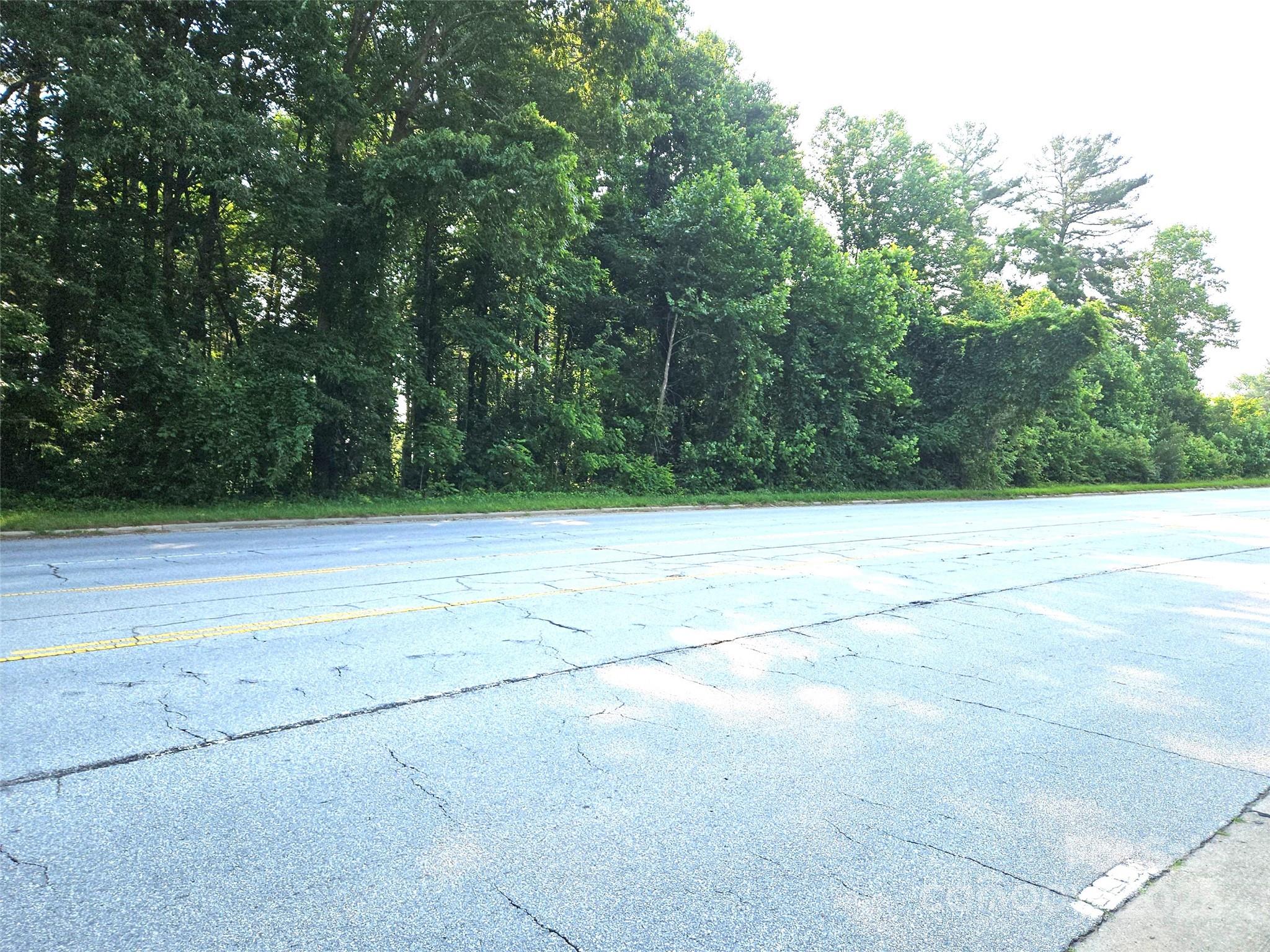 3826 Asheville Highway Property Photo 3