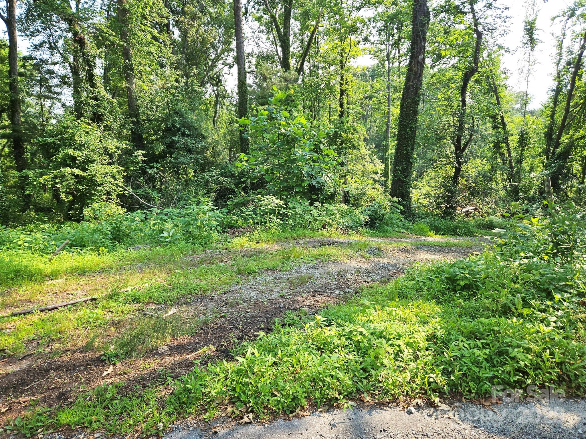 3826 Asheville Highway Property Photo 4