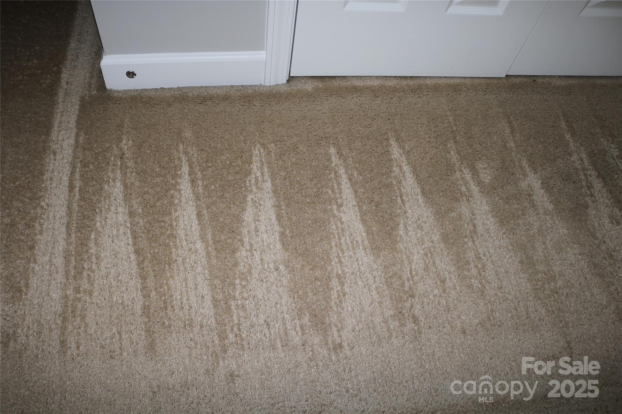 10726 Greenhead View Road Property Photo 13