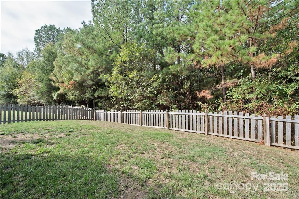 10726 Greenhead View Road Property Photo 25