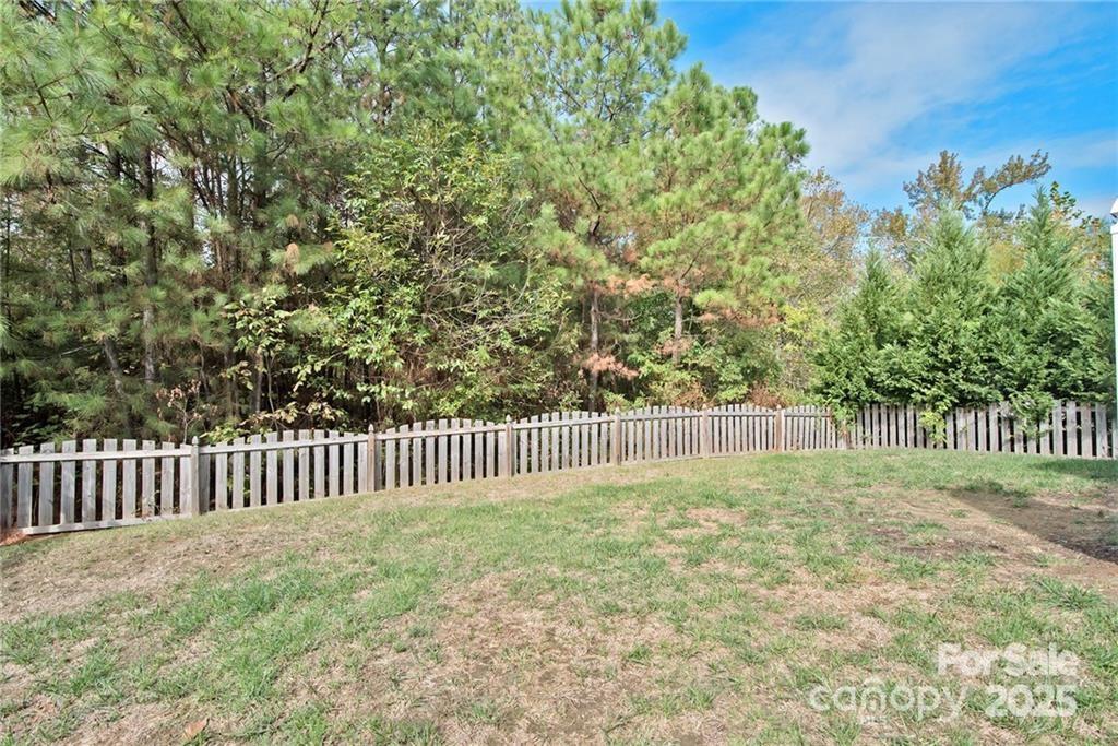 10726 Greenhead View Road Property Photo 26