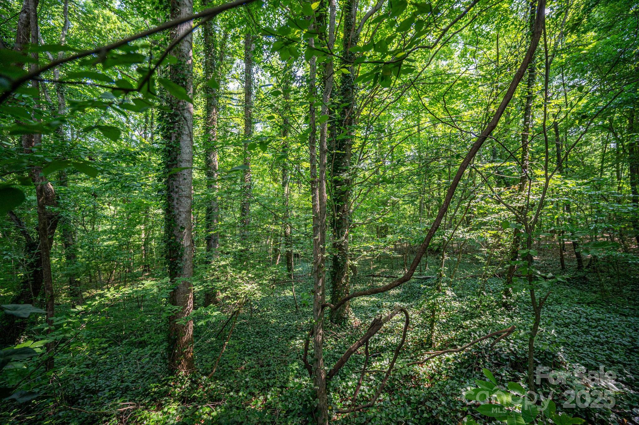 812 Trinity Lane Property Photo 3