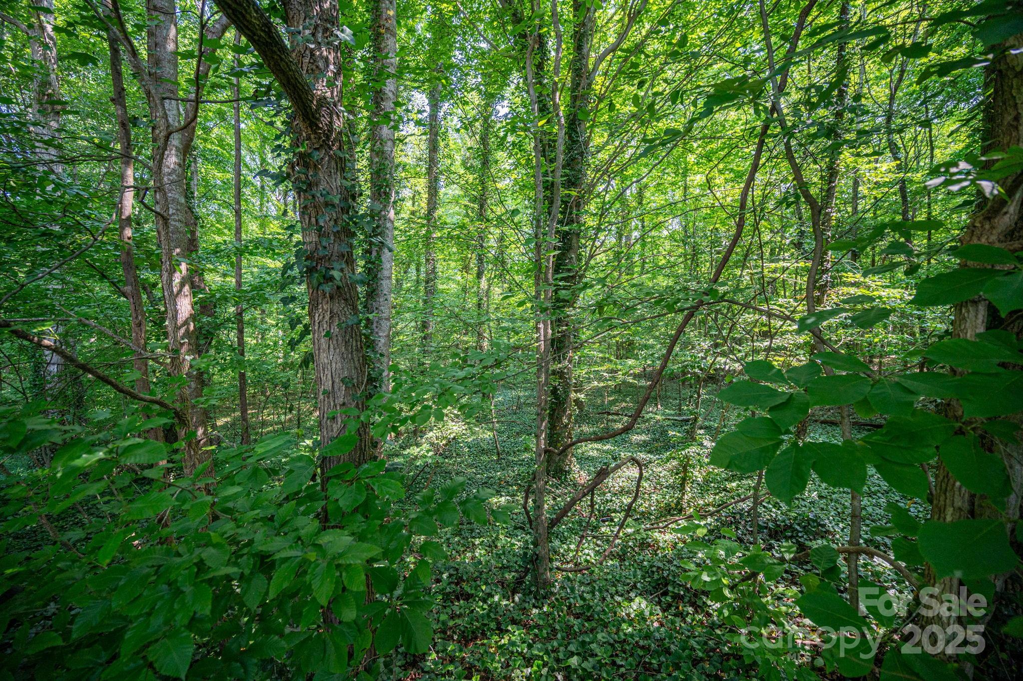 812 Trinity Lane Property Photo 4