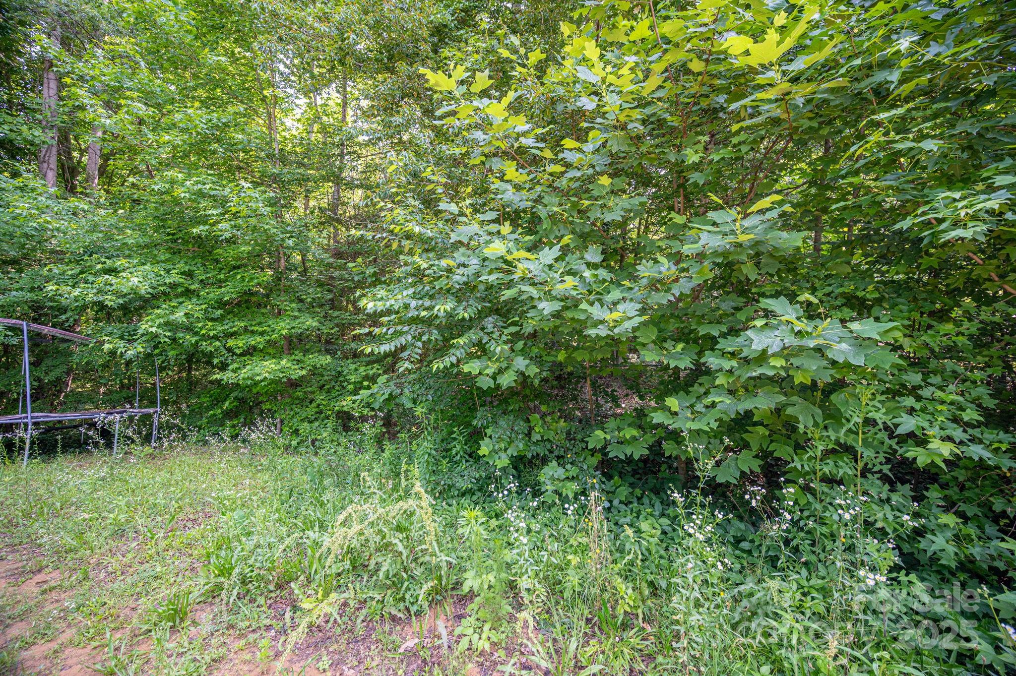 812 Trinity Lane Property Photo 5