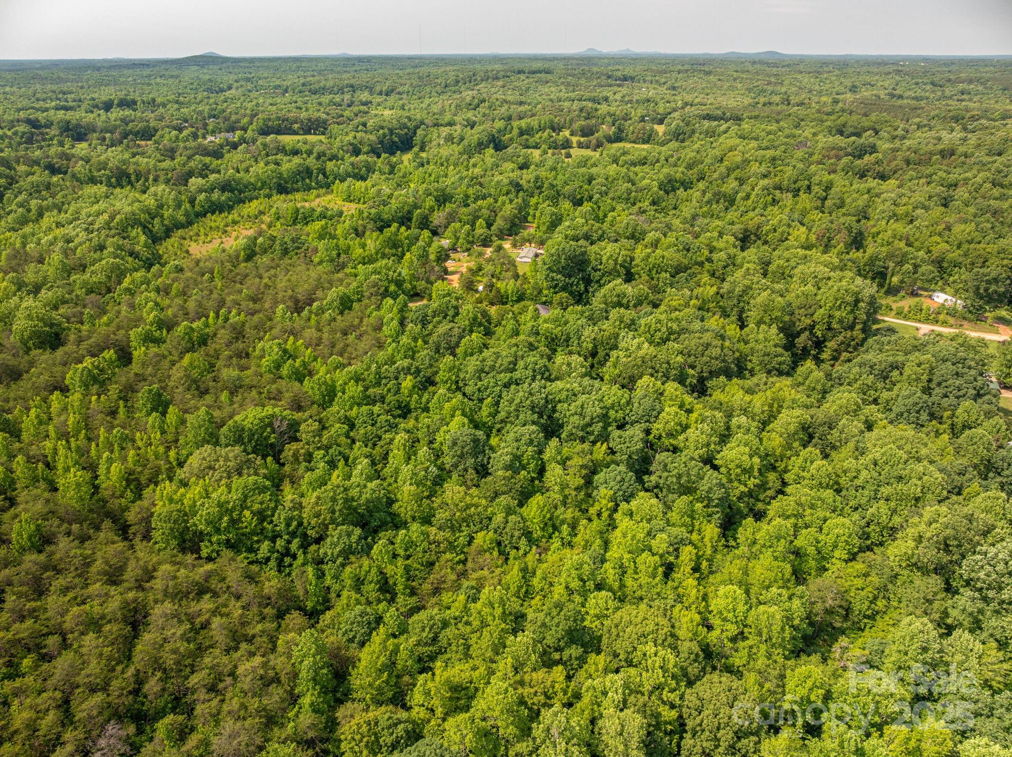 812 Trinity Lane Property Photo 7