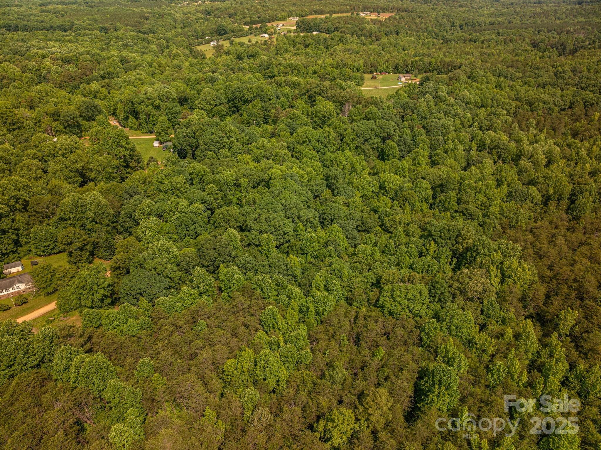 812 Trinity Lane Property Photo 8