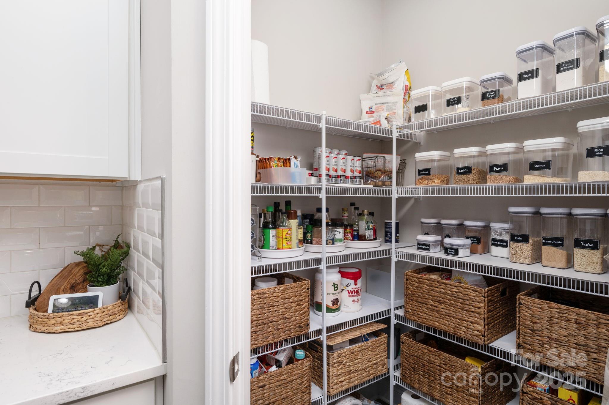 45 Dreambird Drive Property Photo 14