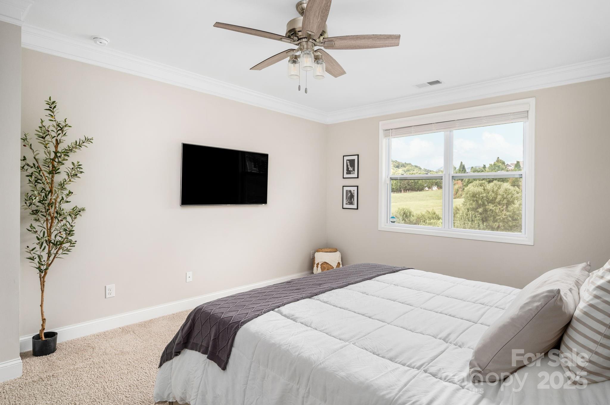 45 Dreambird Drive Property Photo 22