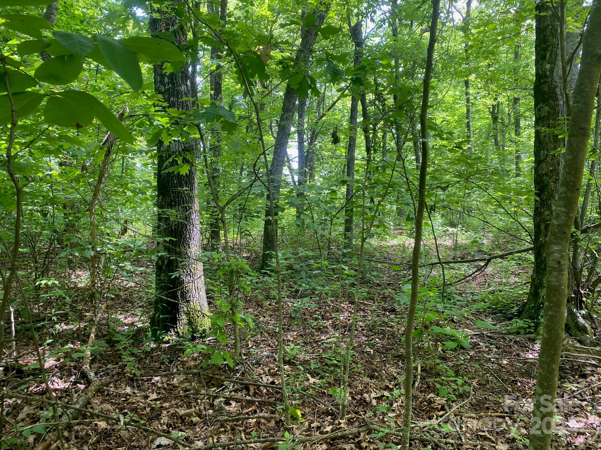 129 High Cliffs Trail Property Photo 3