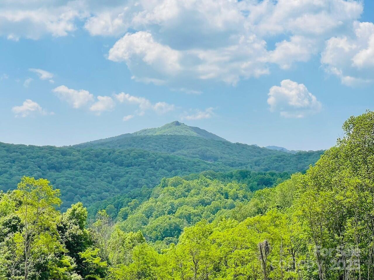 0 Lee Gualtney Road 15 Property Photo 1