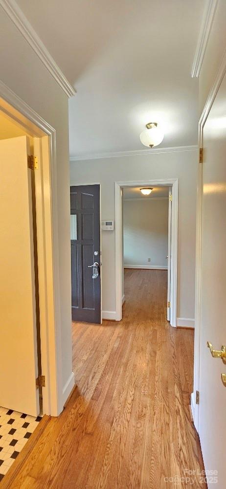 513 Webster Place Property Photo 9