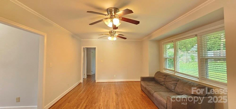 513 Webster Place Property Photo 13