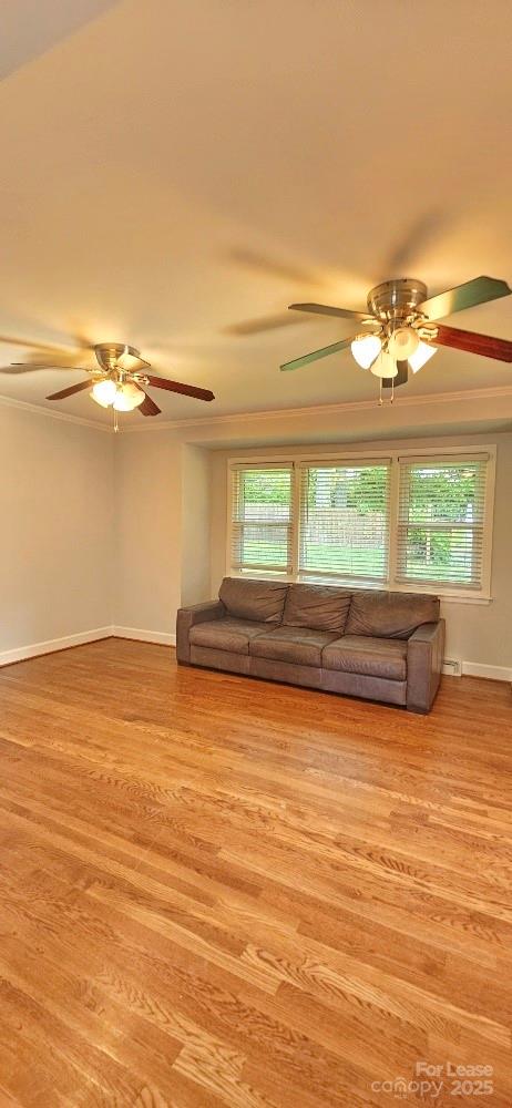 513 Webster Place Property Photo 14
