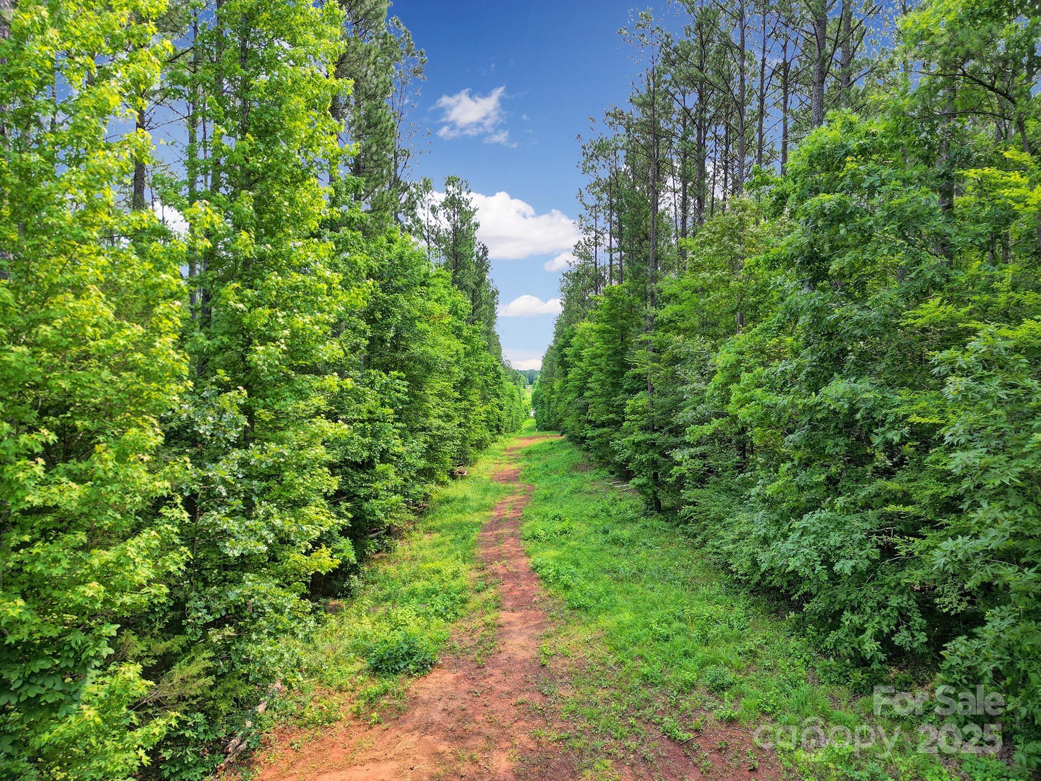 Lot 10 Goings Road 10 Property Photo 8