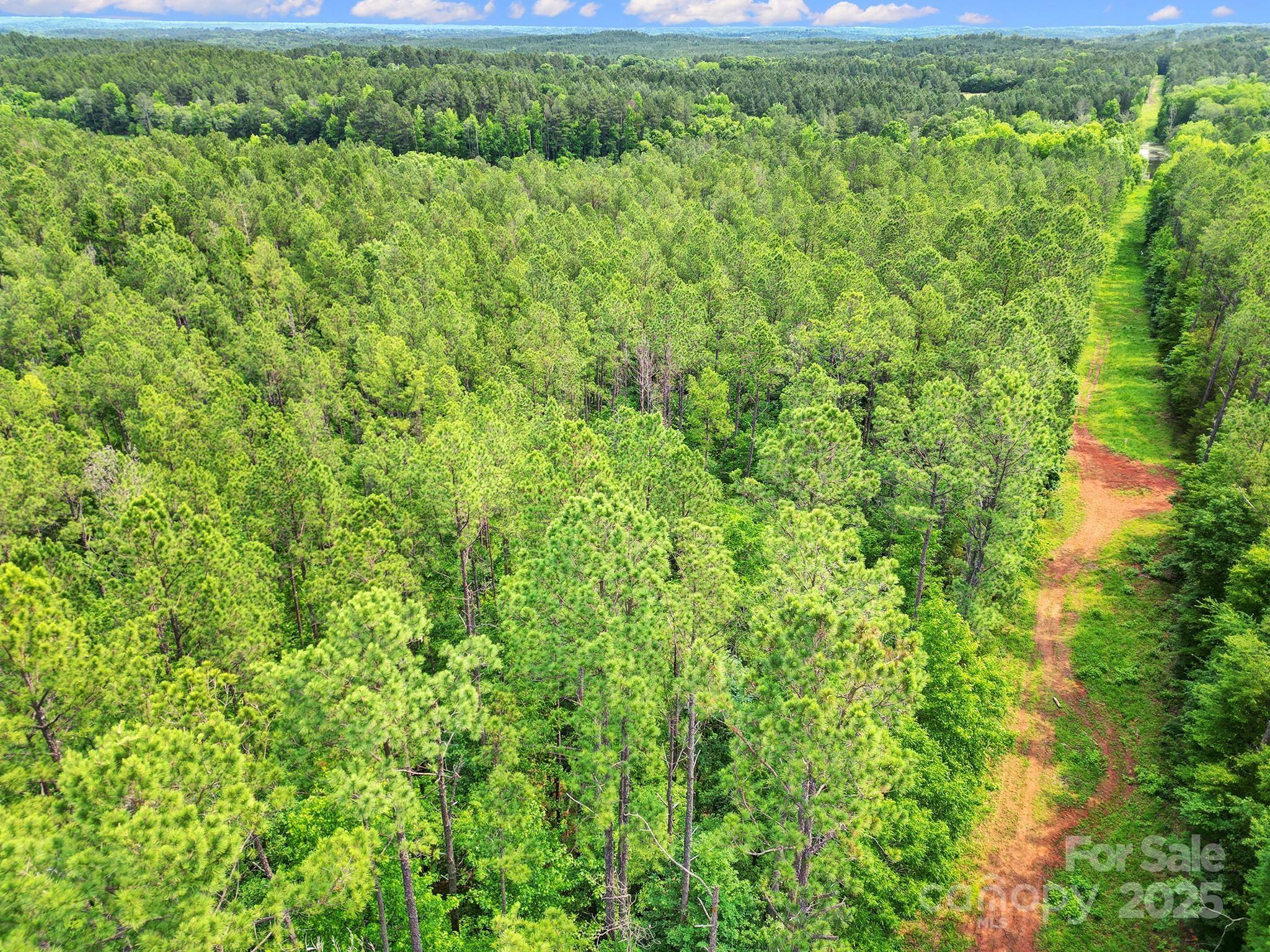 Lot 10 Goings Road 10 Property Photo 10