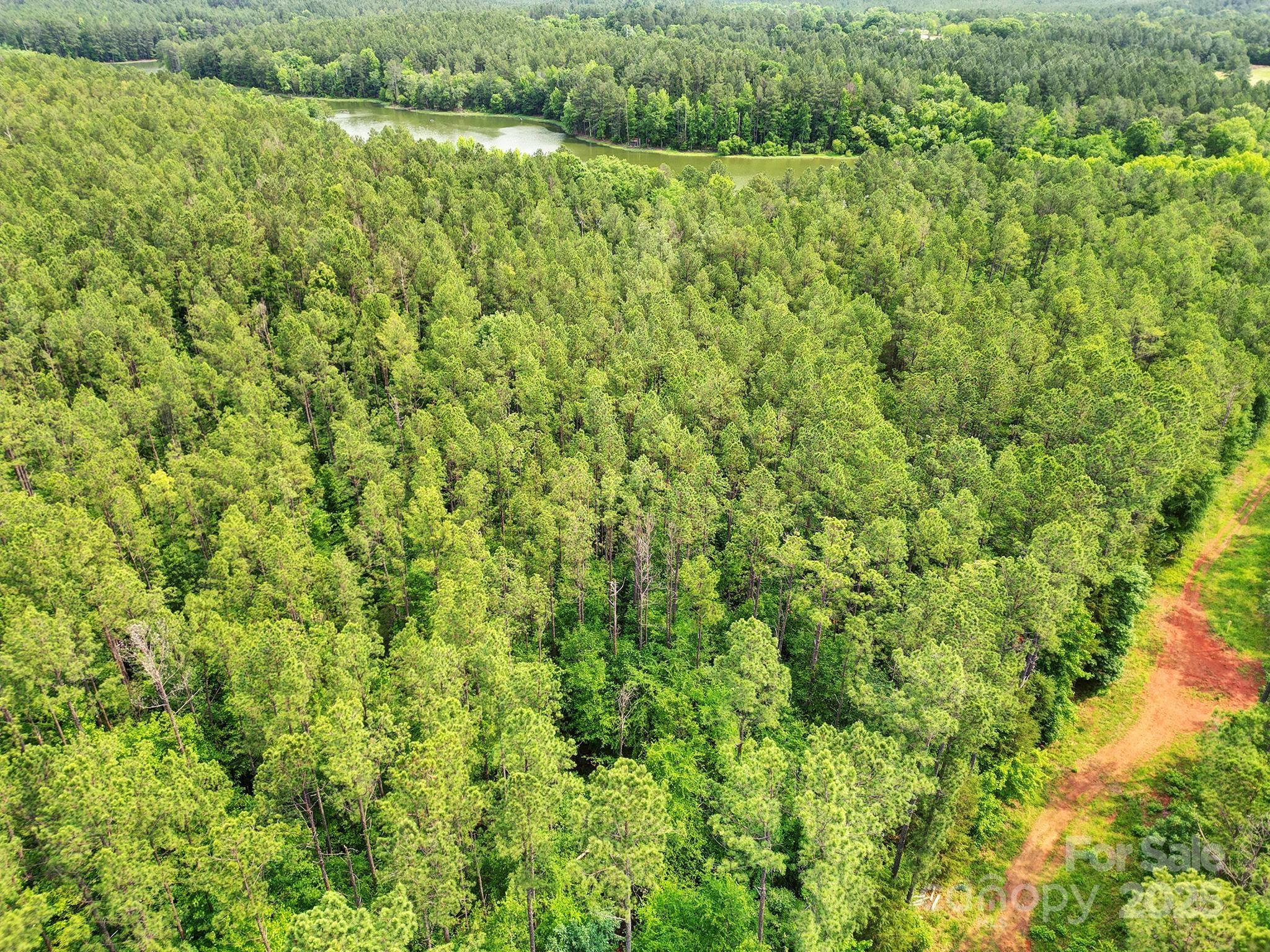 Lot 10 Goings Road 10 Property Photo 11