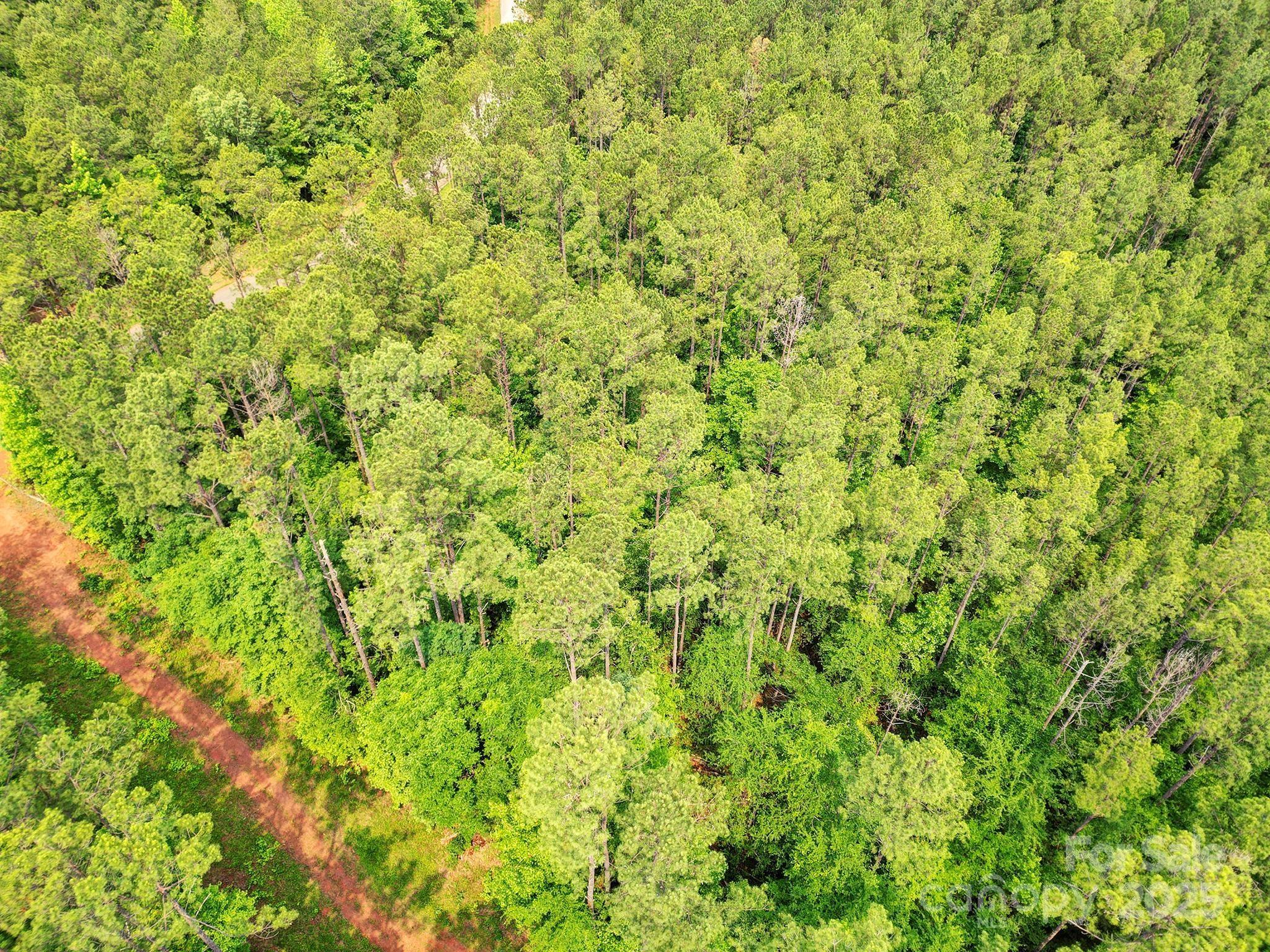 Lot 10 Goings Road 10 Property Photo 12