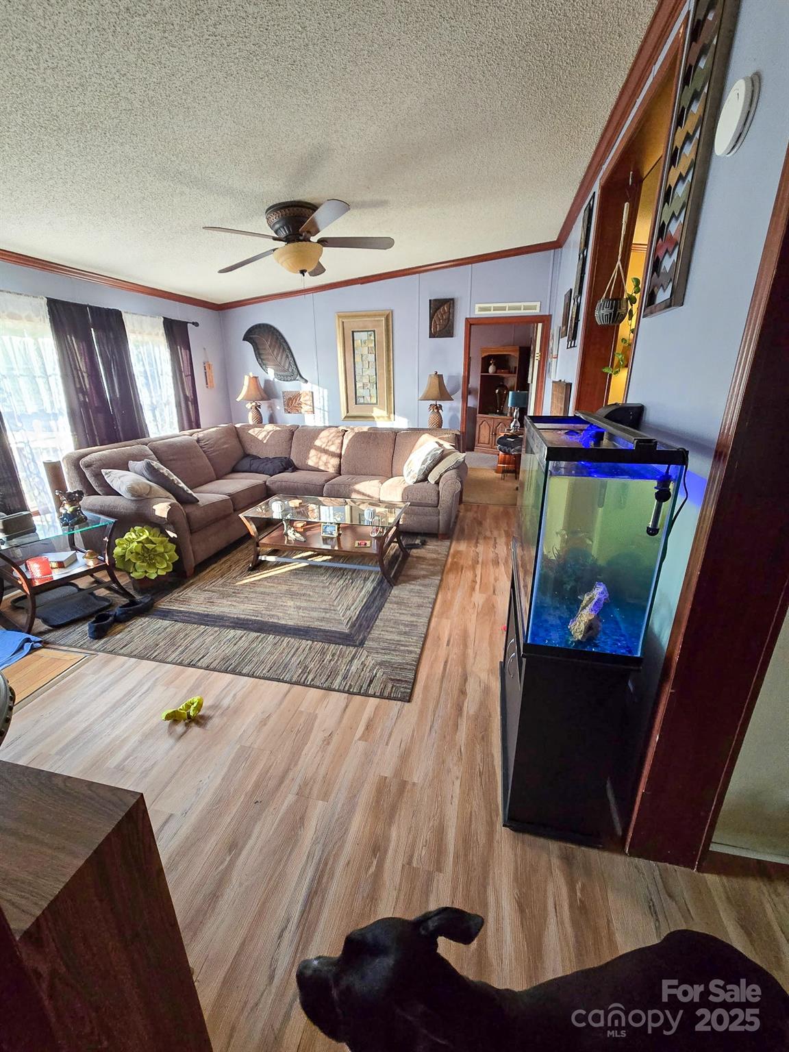 110 Dorothy Lane Property Photo 11