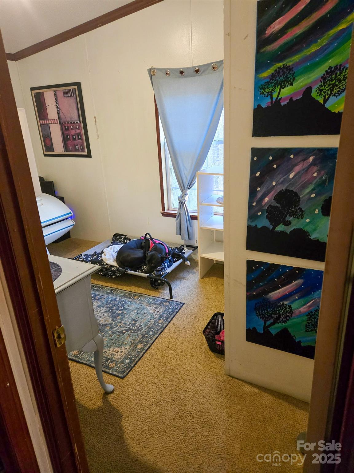 110 Dorothy Lane Property Photo 14