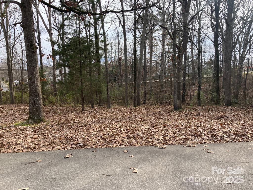 118a Cherokee Lane Property Photo 1