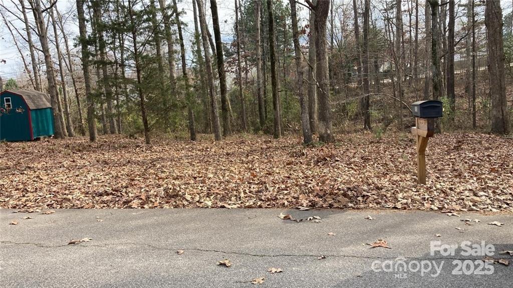118a Cherokee Lane Property Photo 2