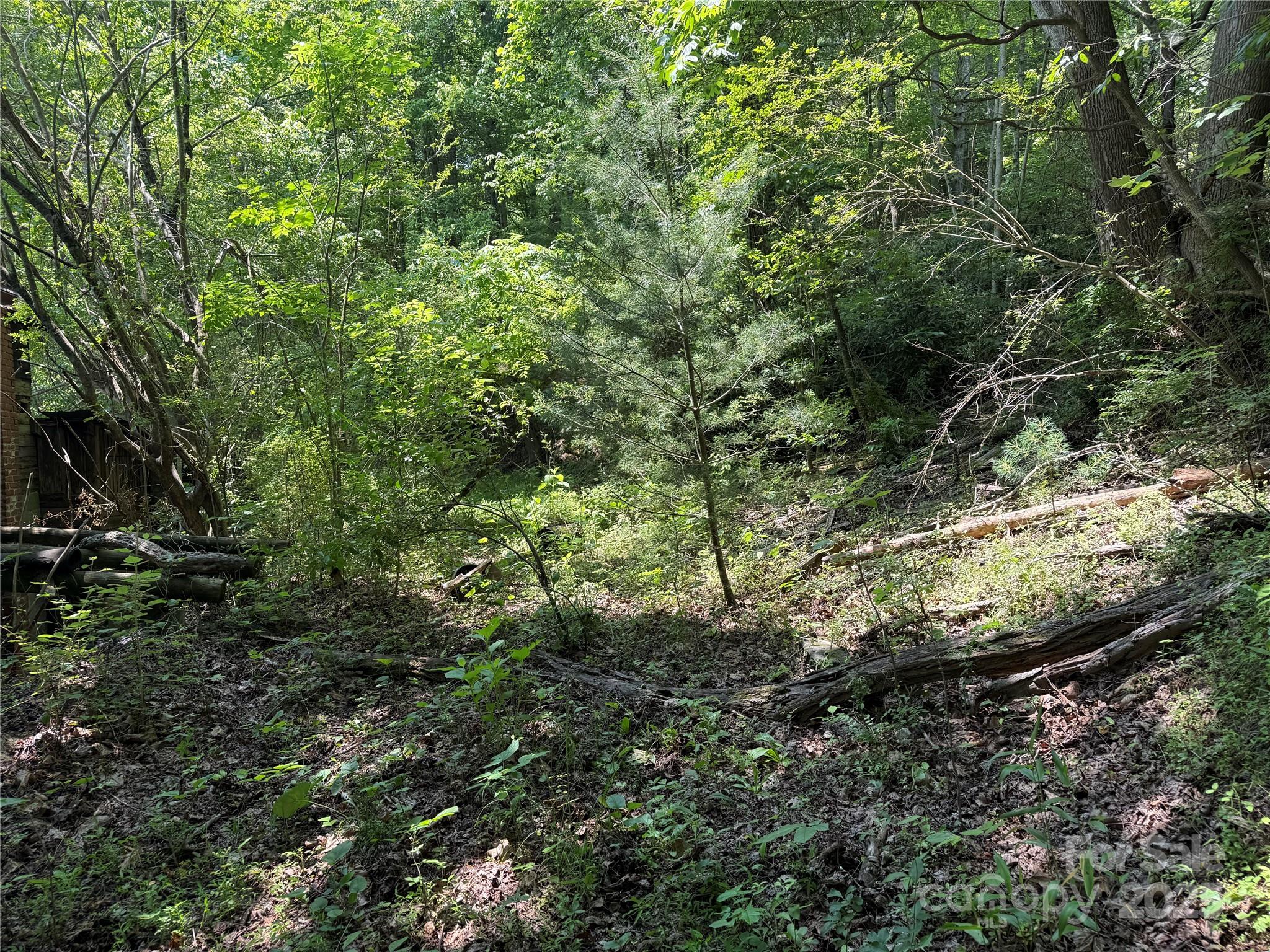 12055 Us 25-70 Highway Property Photo 8