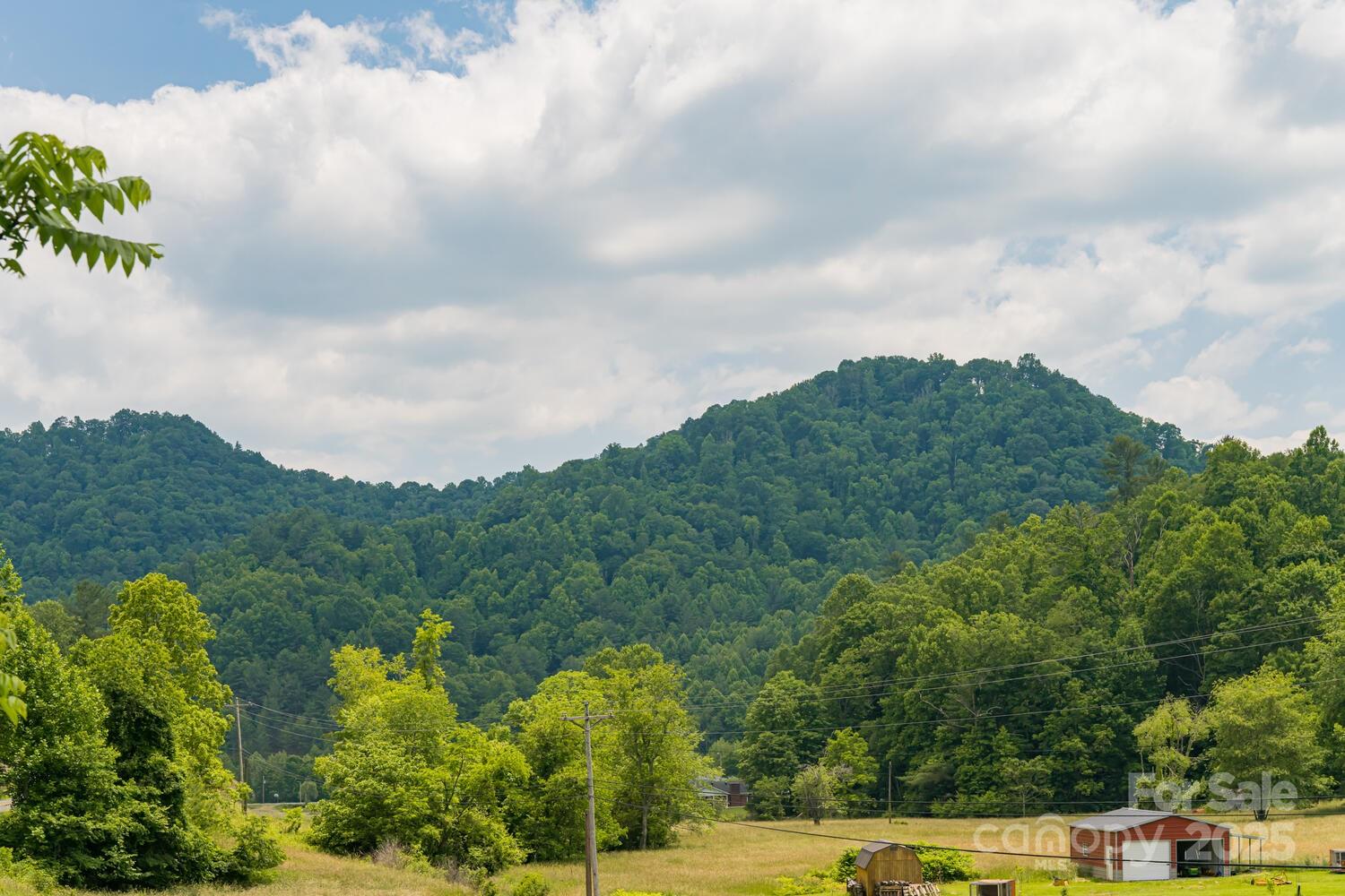 546 Scronce Creek Road Property Photo 4