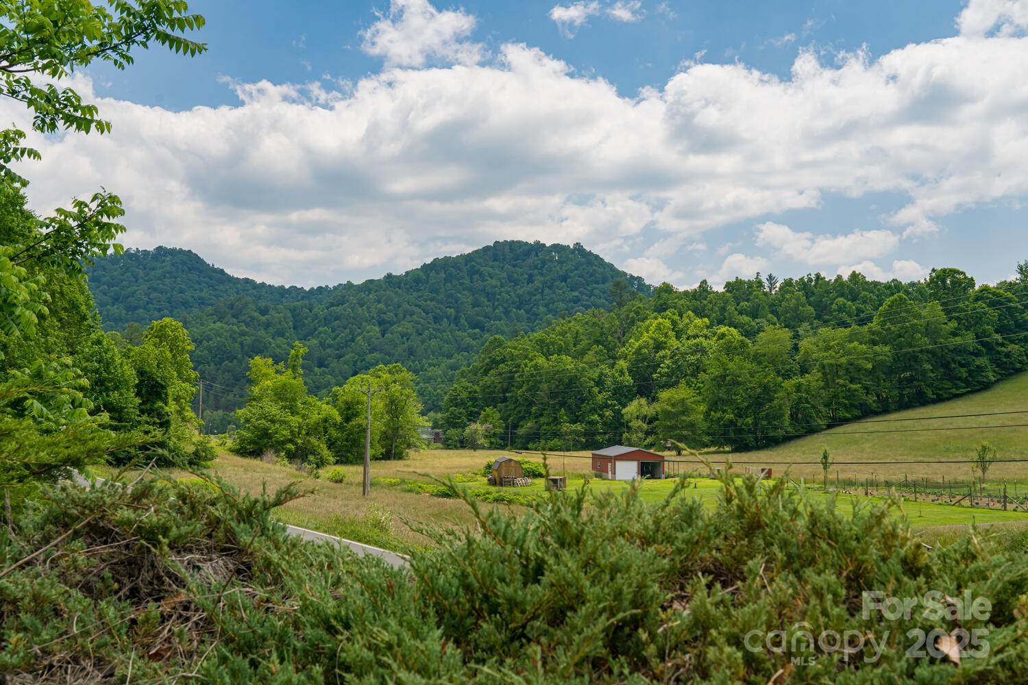 546 Scronce Creek Road Property Photo 7