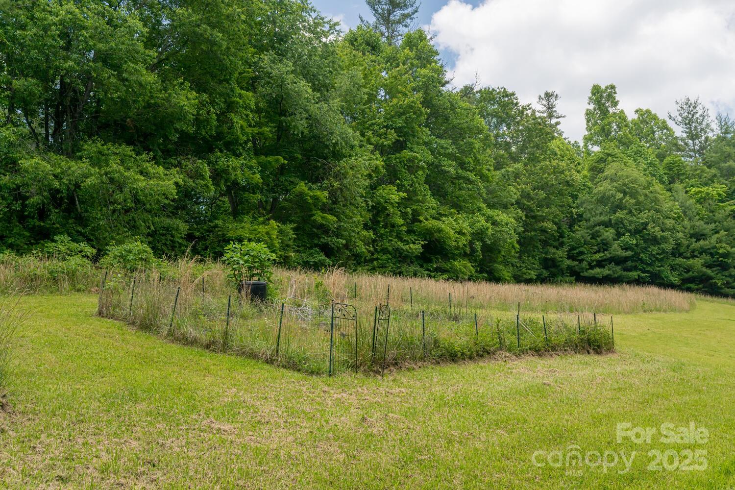 546 Scronce Creek Road Property Photo 42