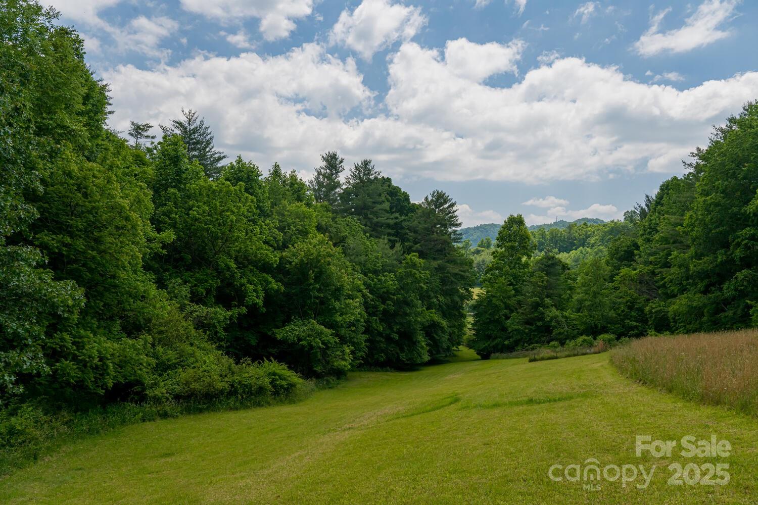 546 Scronce Creek Road Property Photo 43