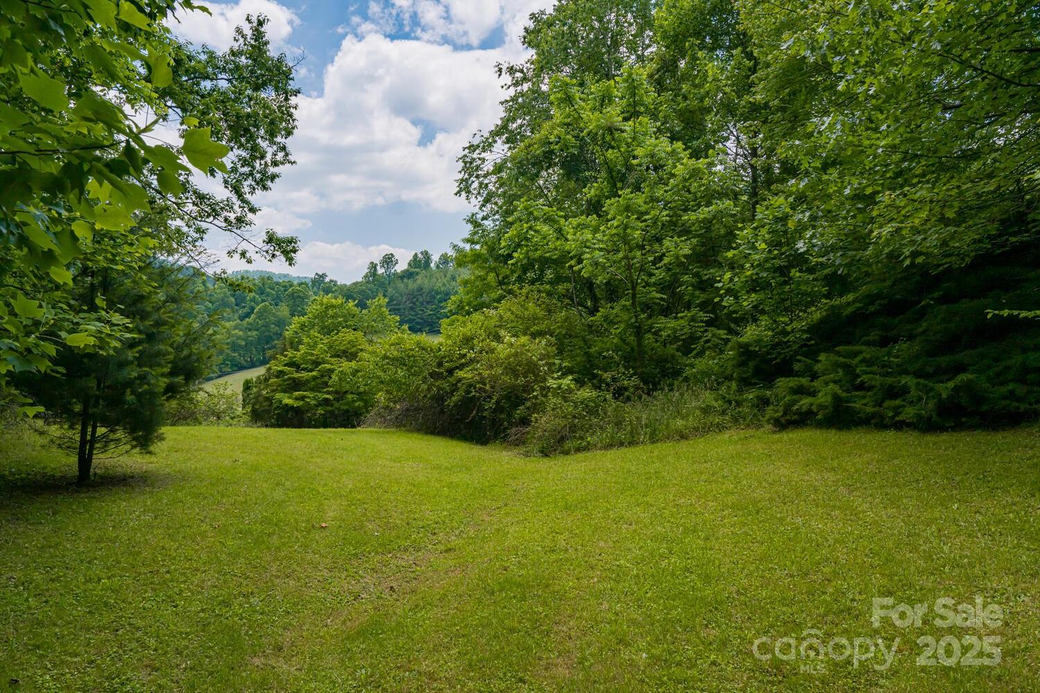 546 Scronce Creek Road Property Photo 44