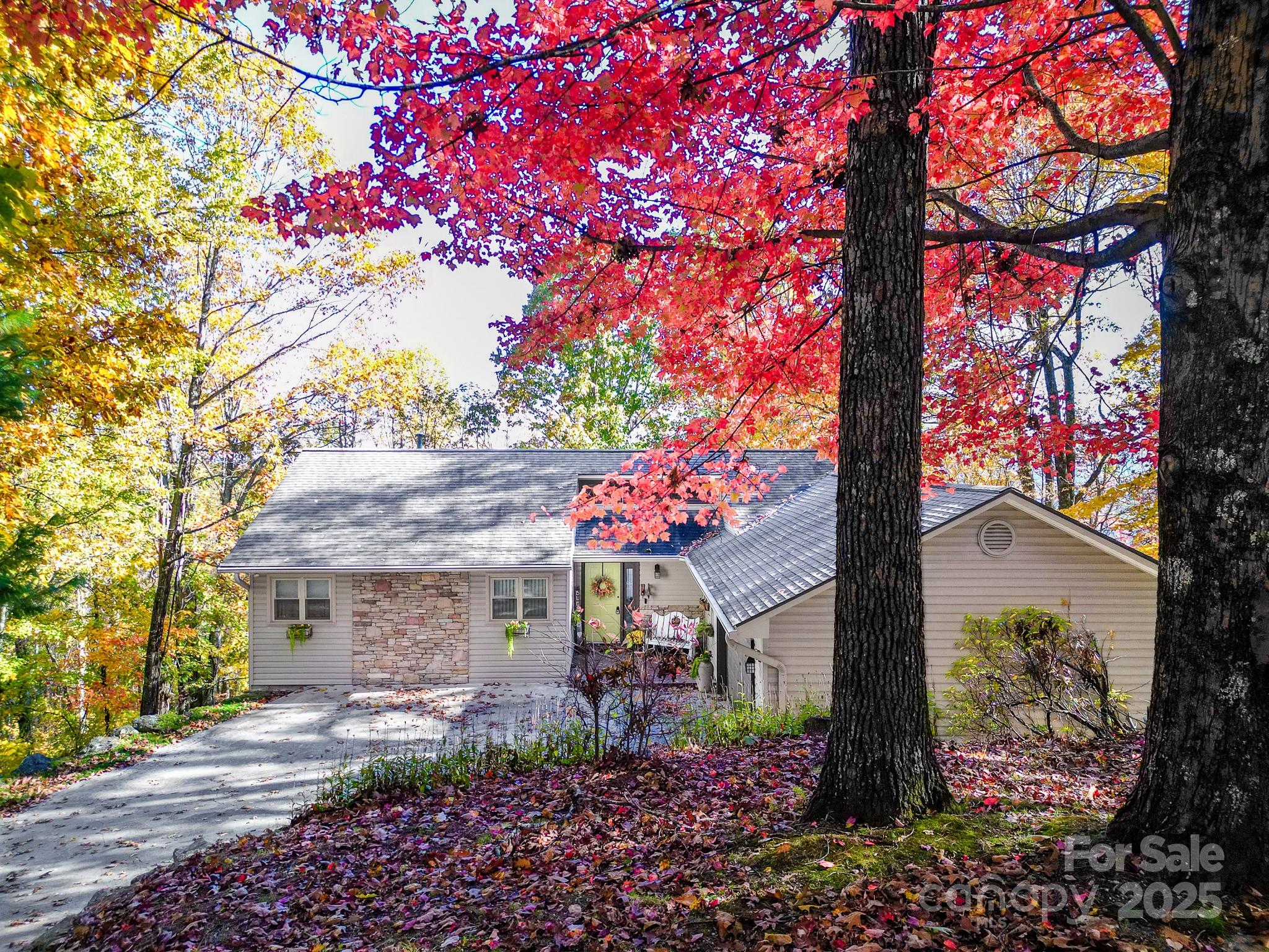 110 Spring Path Property Photo 2