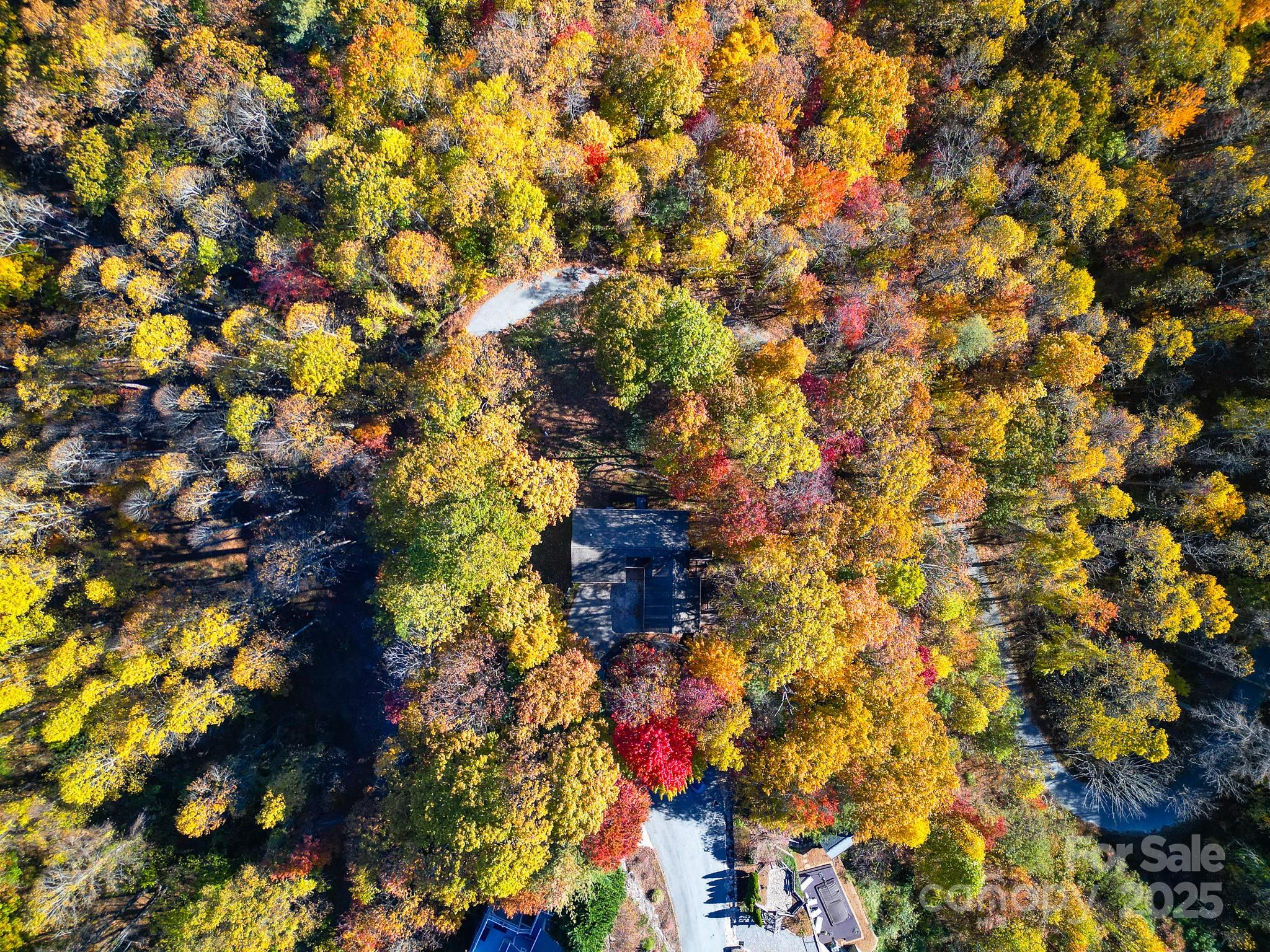 110 Spring Path Property Photo 3