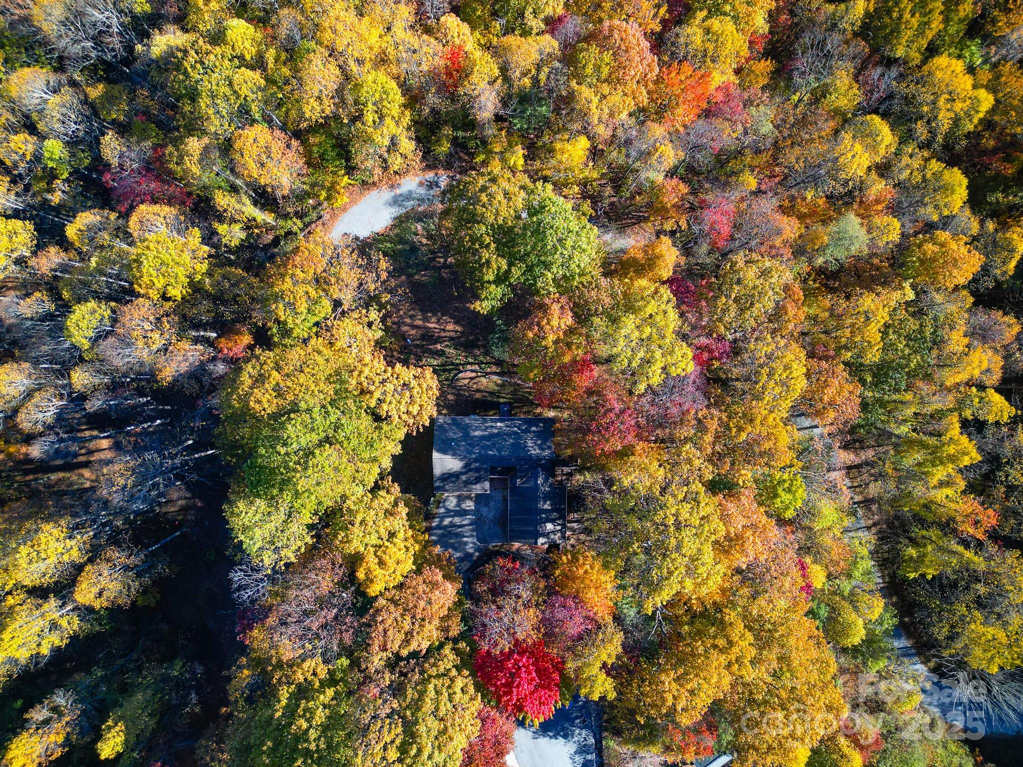 110 Spring Path Property Photo 42