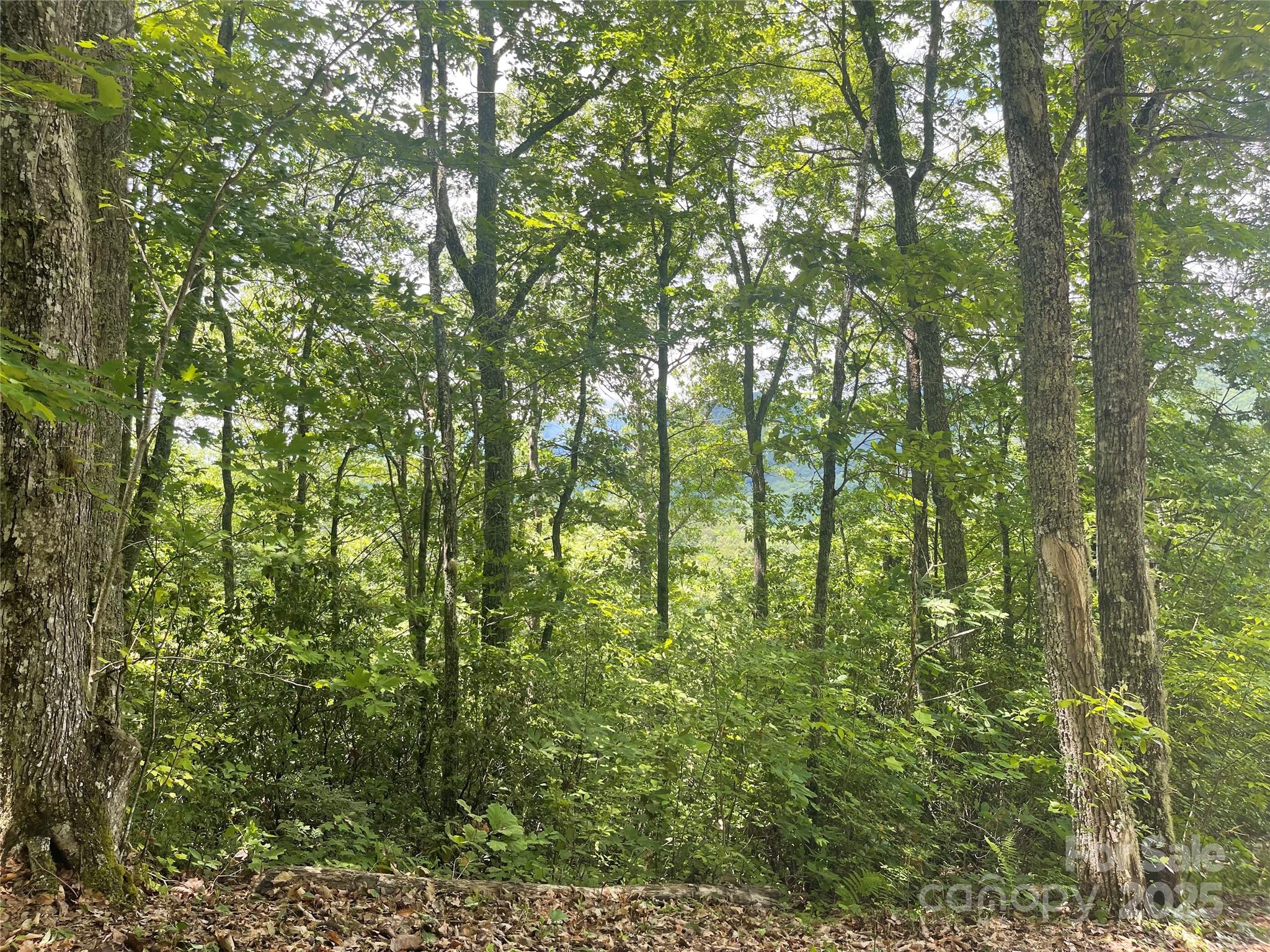 500 Fernwood Drive Property Photo 1