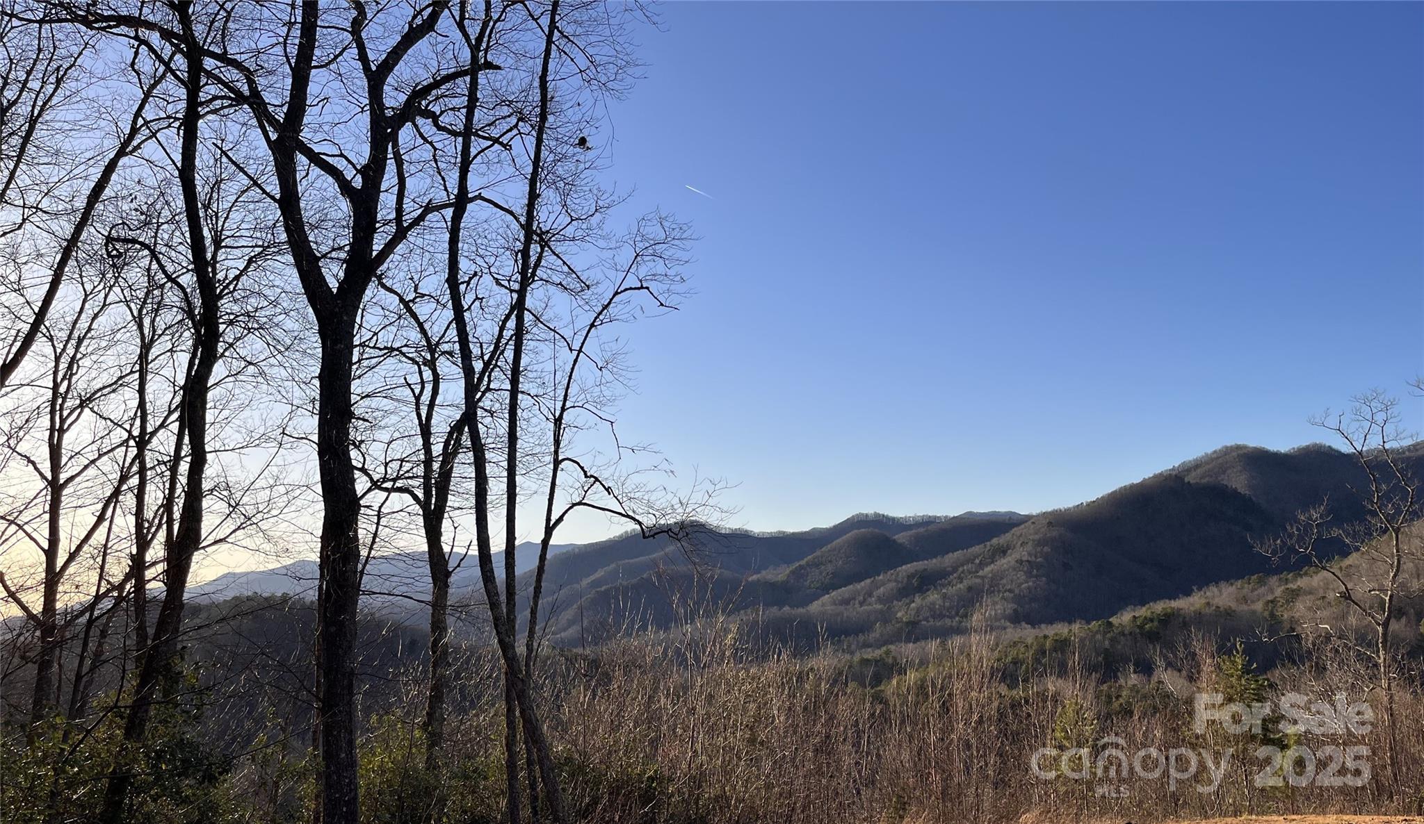 500 Fernwood Drive Property Photo 4