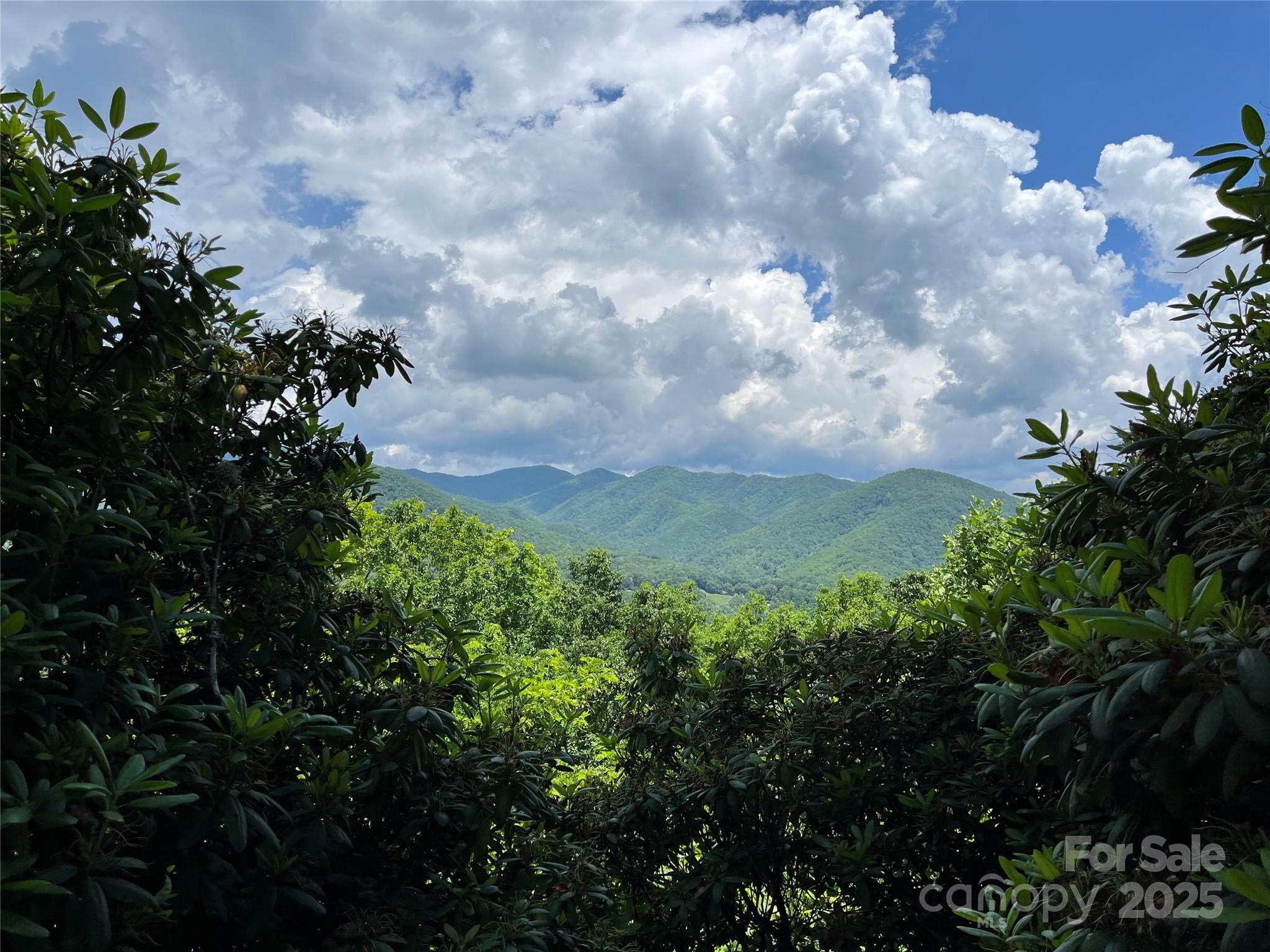 600 Fernwood Drive Property Photo 1