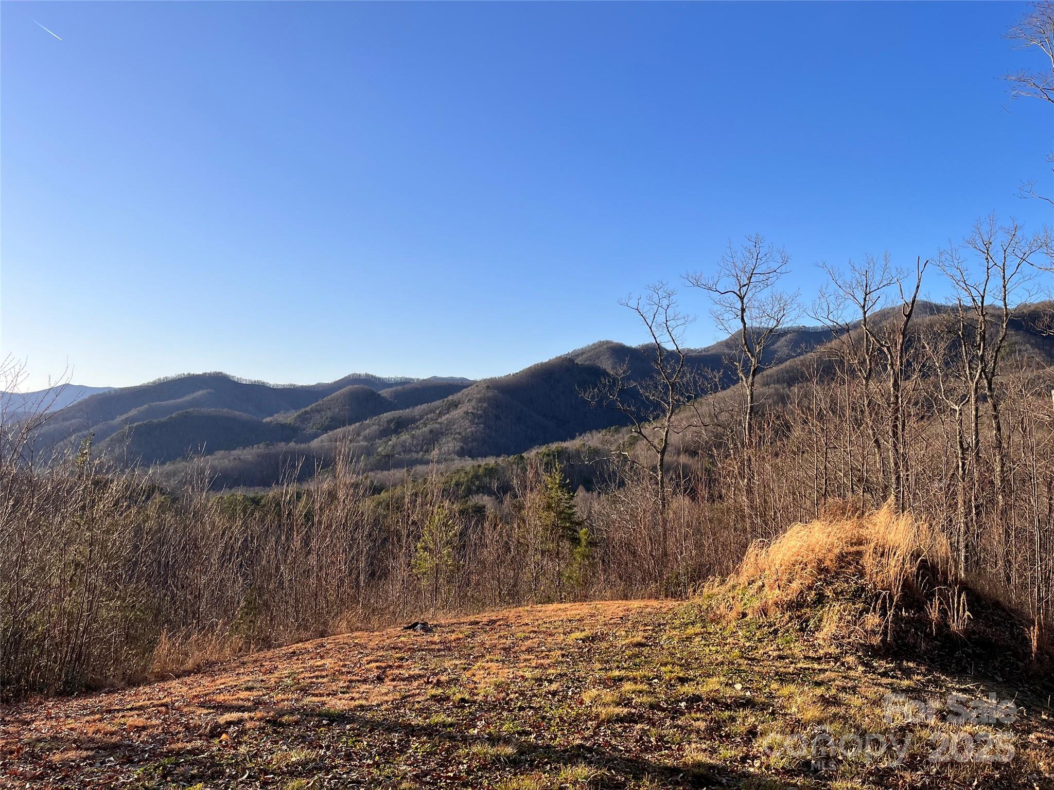 600 Fernwood Drive Property Photo 4