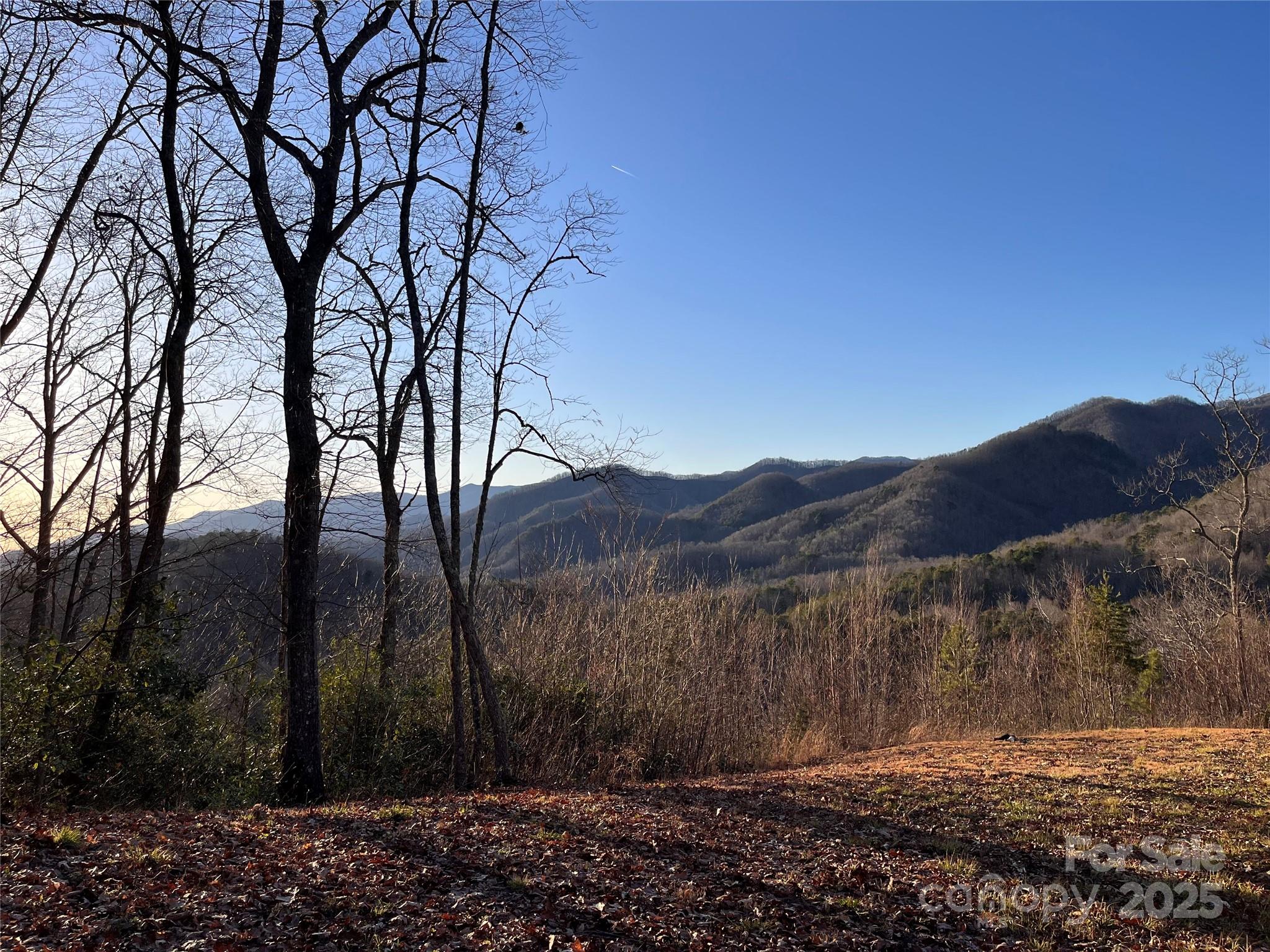 600 Fernwood Drive Property Photo 5